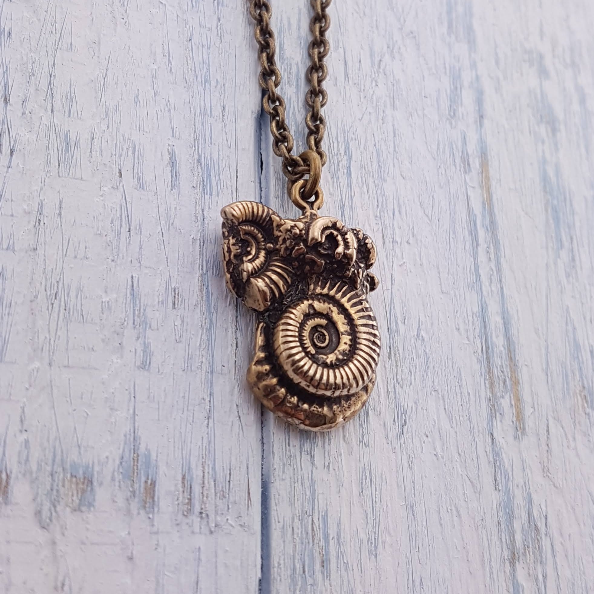 Ammonites Fossil Necklace - Gwen Delicious Jewelry Designs