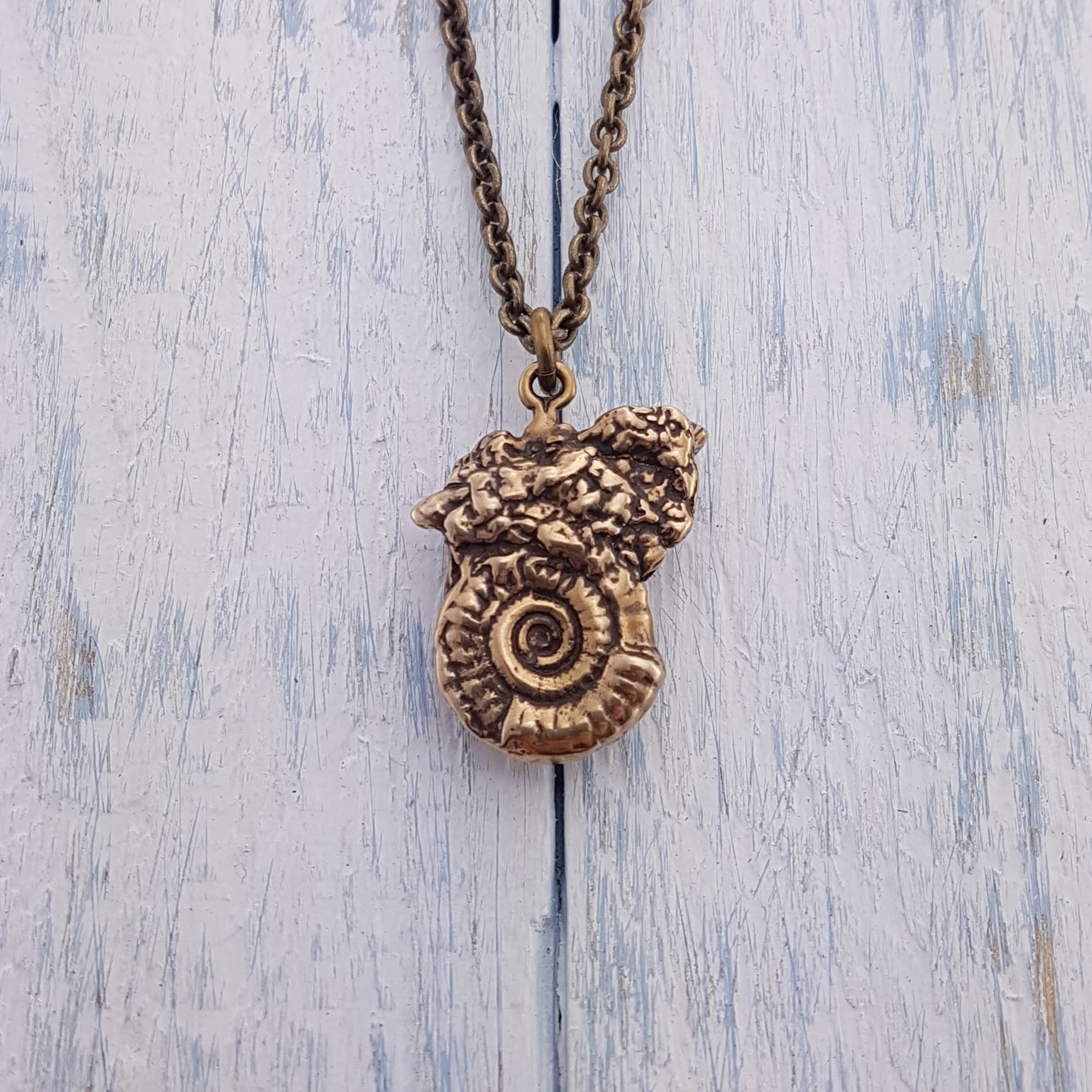 Ammonites Fossil Necklace - Gwen Delicious Jewelry Designs