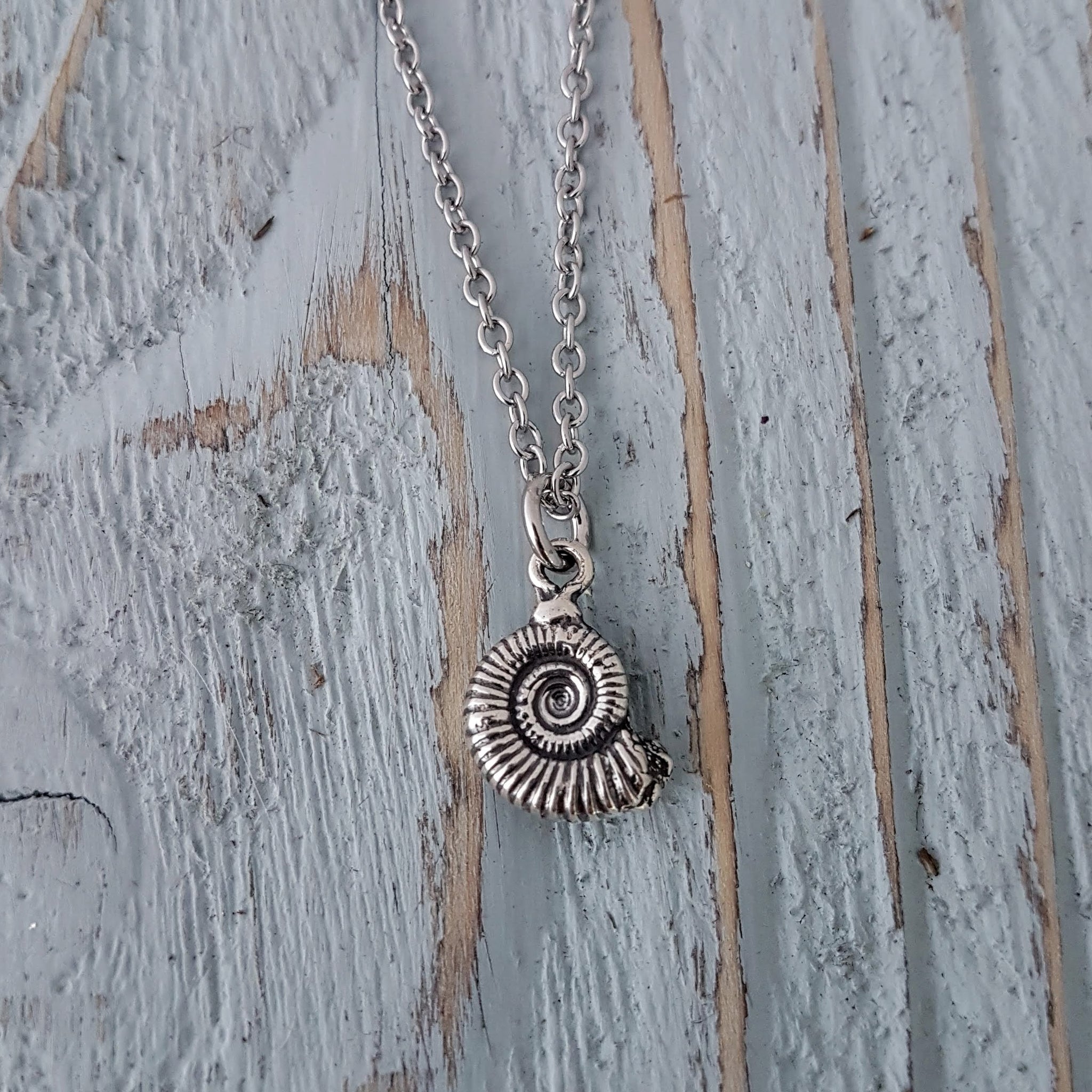 Ammonite Fossil Necklace - Gwen Delicious Jewelry Designs