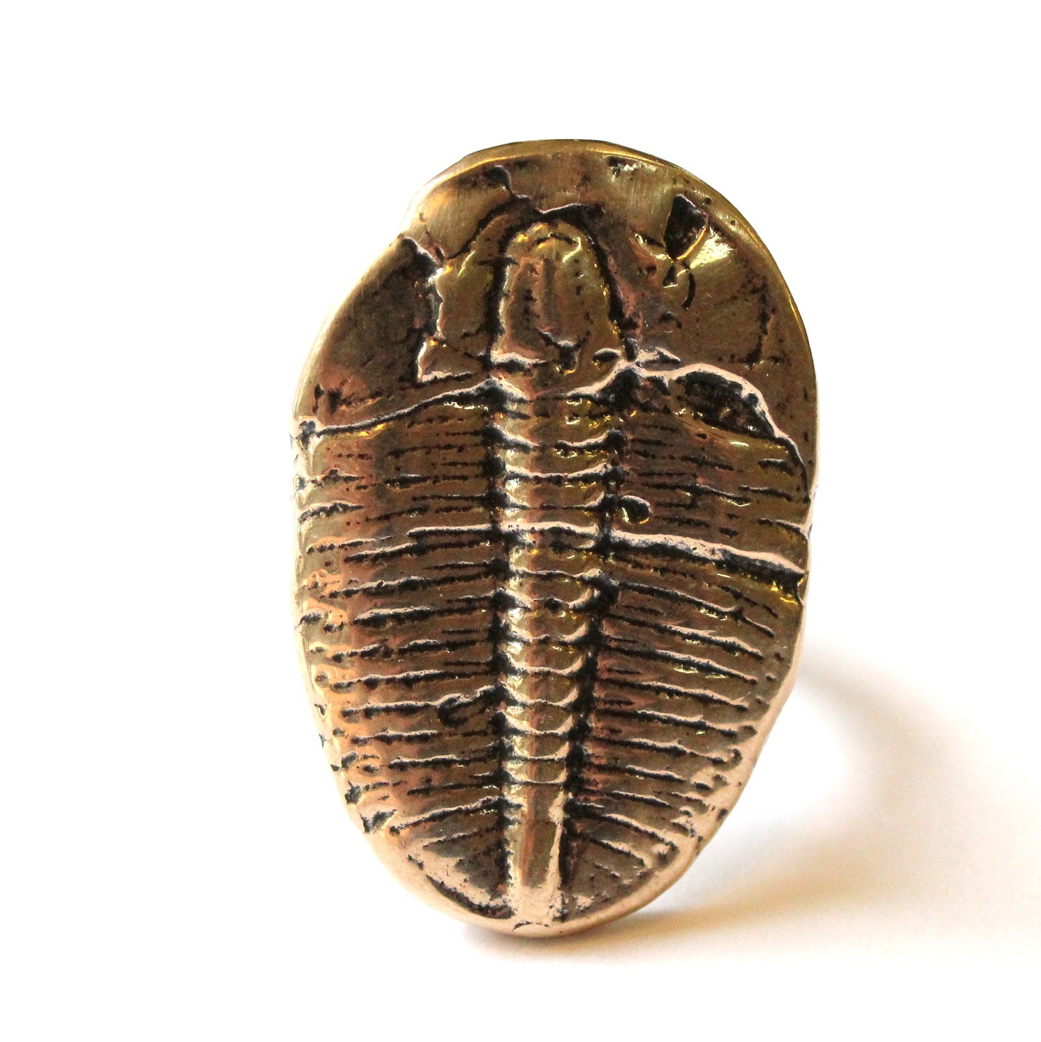 Trilobite Fossil Ring - Gwen Delicious Jewelry Designs
