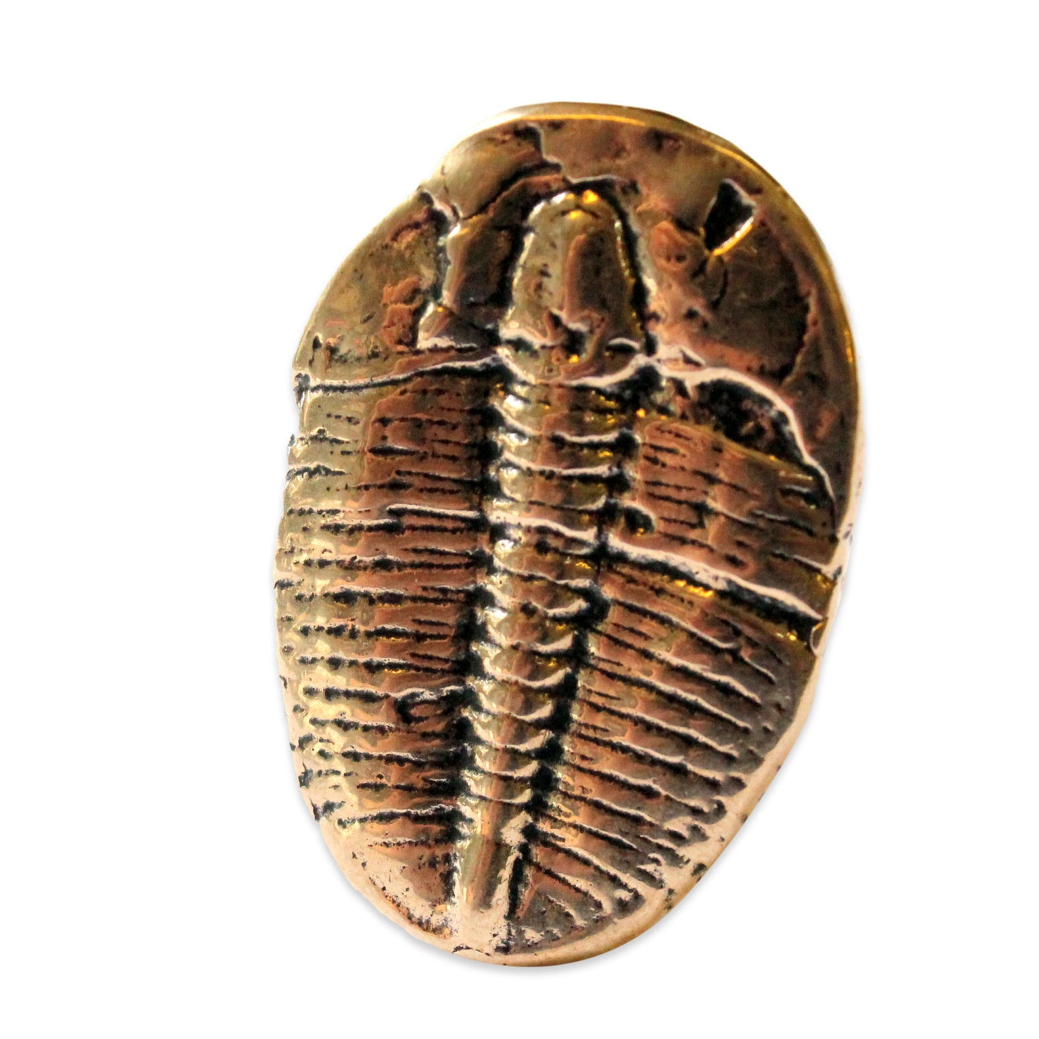 Trilobite Fossil Ring - Gwen Delicious Jewelry Designs